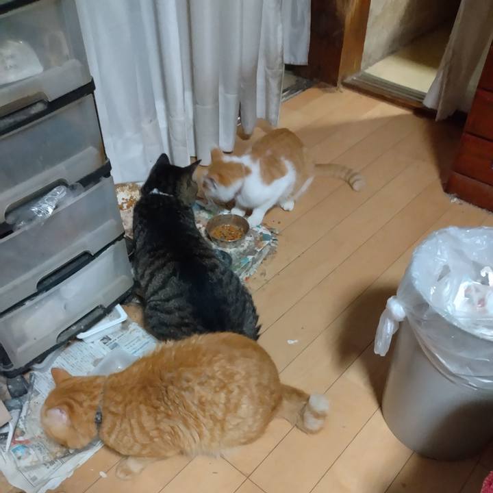 6a329510 7515 40a2 8768 fcc3d0b979fc 1757972611139