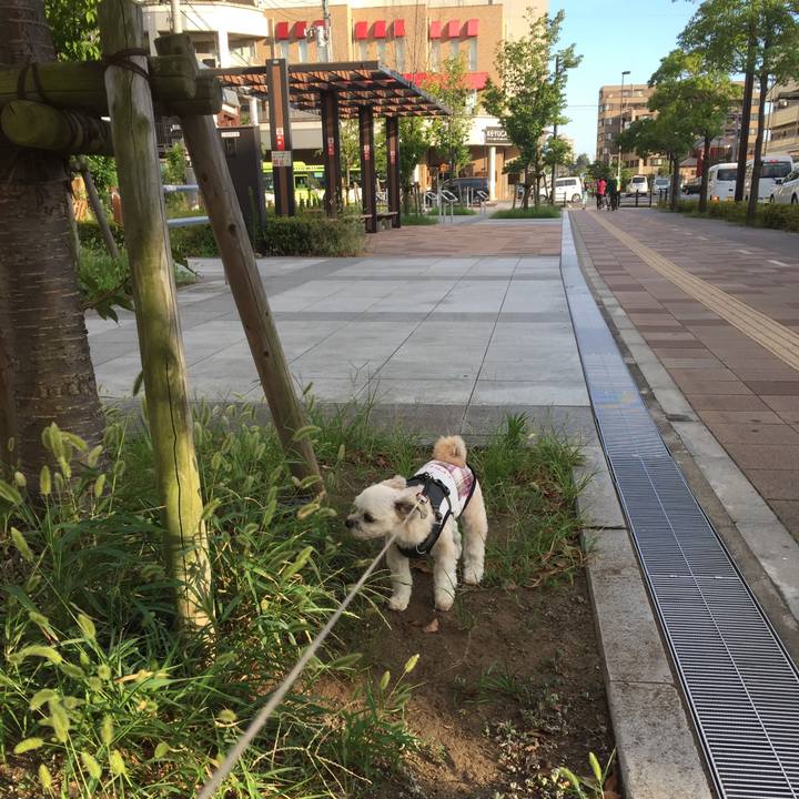 6a32a839 ddec 4eb1 bf6d 81bb4adcbc8f 1565257059000