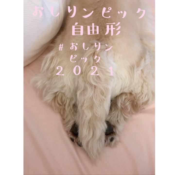 6a32b03f 7f4d 4ff1 873e 103c33aeacff 1627188542677