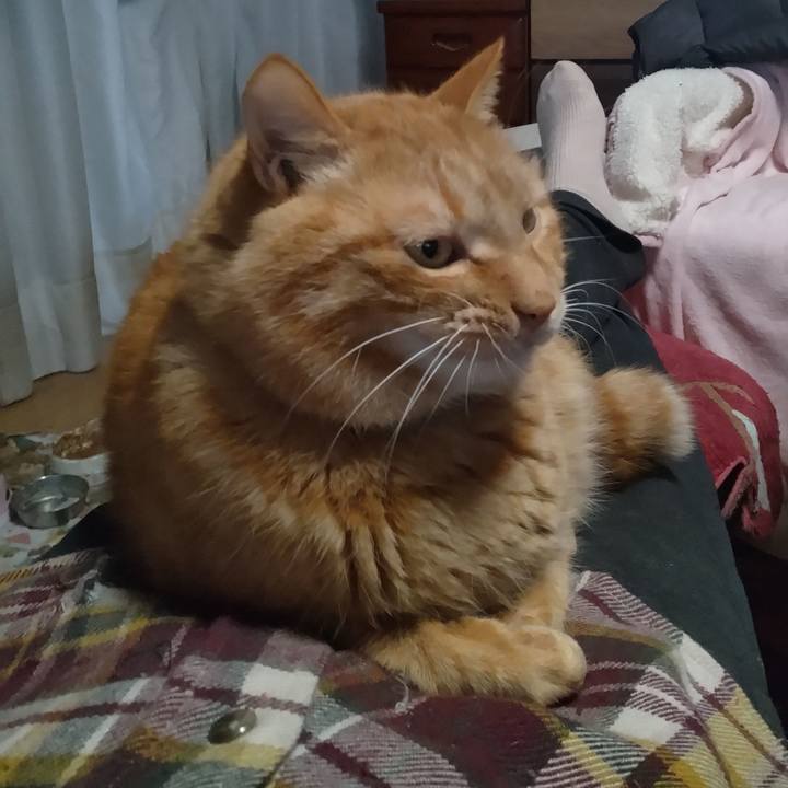 6a32d31e 523d 4dc7 af2a 89dafcc88855 1766997419155