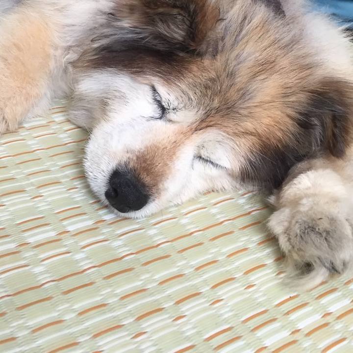 6a3351a0 4a61 4aad 958a cc4840a1ec8e 1644944381334