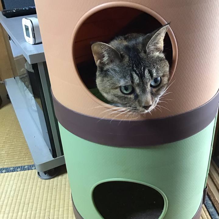 6a335a02 4883 4993 bd98 381382ebea60 1728204964226