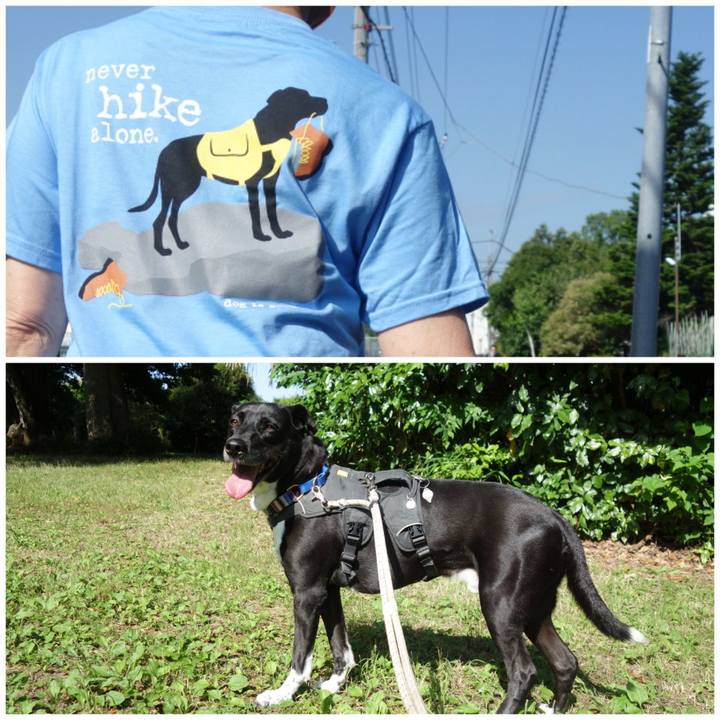 6a3366d8 8229 4fd3 8f38 743c4cbc2fde 1654129251637