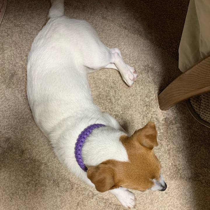 6a336cdc fbf0 4045 88cb 5a94323f5ffb 1589711743900