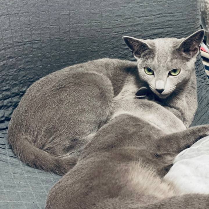 6a336ddc 81a1 4cab bfa2 493efa4c2e86 1620136577926