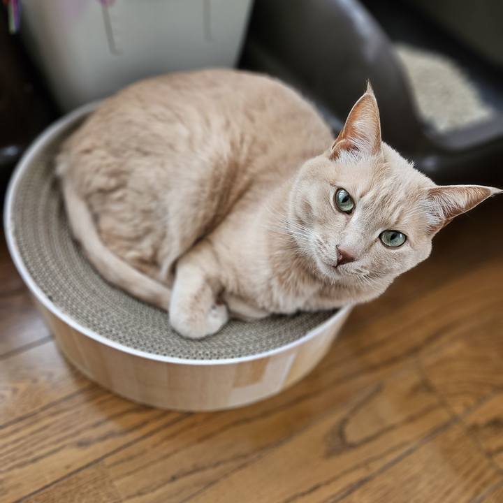 6a33a911 6fa7 41f2 a32d 06780c25a6c3 1772948081392