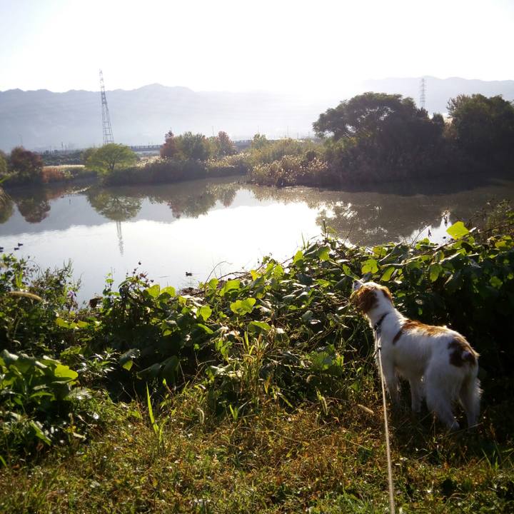 6a34192c 0990 4605 90e3 c46f28e561b2 1510919193168