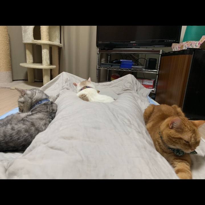 6a342bfb 2ef8 4e1a a9cb 5605e2014b01 1565533863925