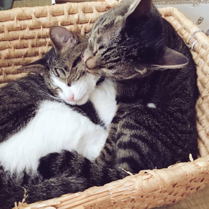 6a34344e 9be7 4a33 819c 571a91b897f3 1536748421072