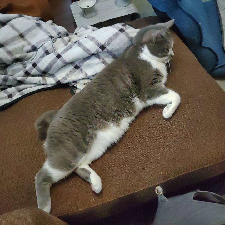 6a343504 e2d8 4ab2 9ce1 2a166e4146cd 1715068099380