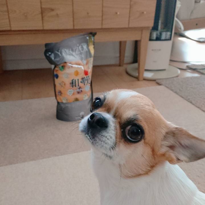 6a3473a6 6242 42e5 9f26 b46552be3887 1616045224773