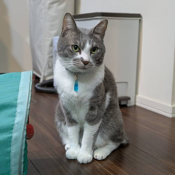 6a34ccfb 4fc5 4a8d b28d d82af9fdda16 1737625888201