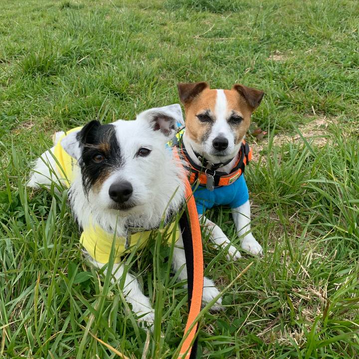 6a34e95a 44f7 40c7 b1b1 c6d991b66e39 1587949893767