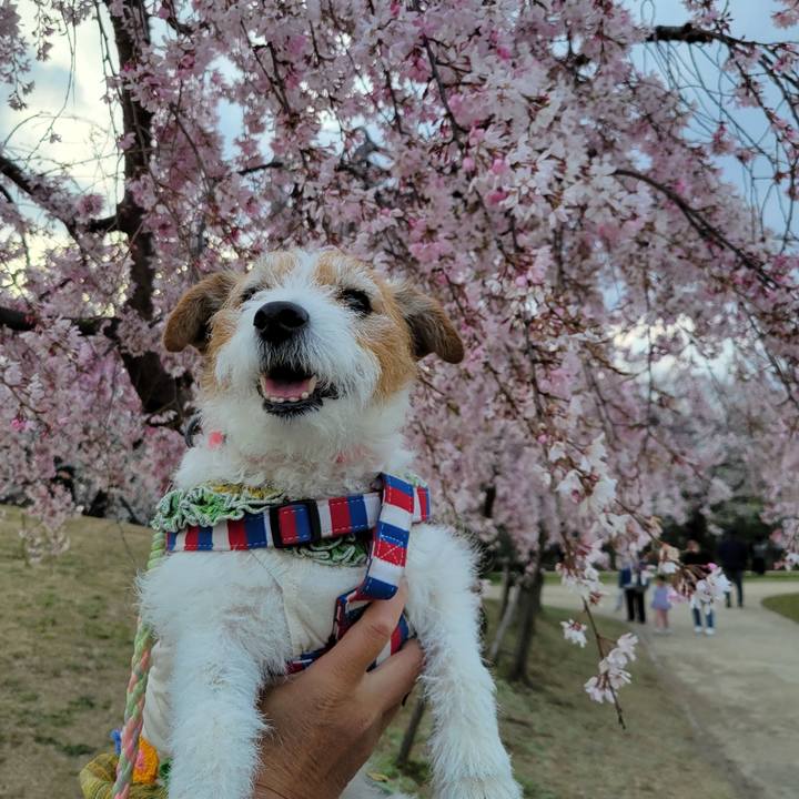 6a355283 c337 46bb a0ac 870ef32b3ded 1743858503491