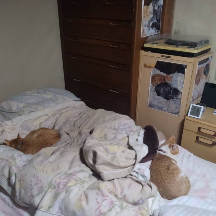 6a35572f b102 4992 a05f defb3c61bb47 1743201400709