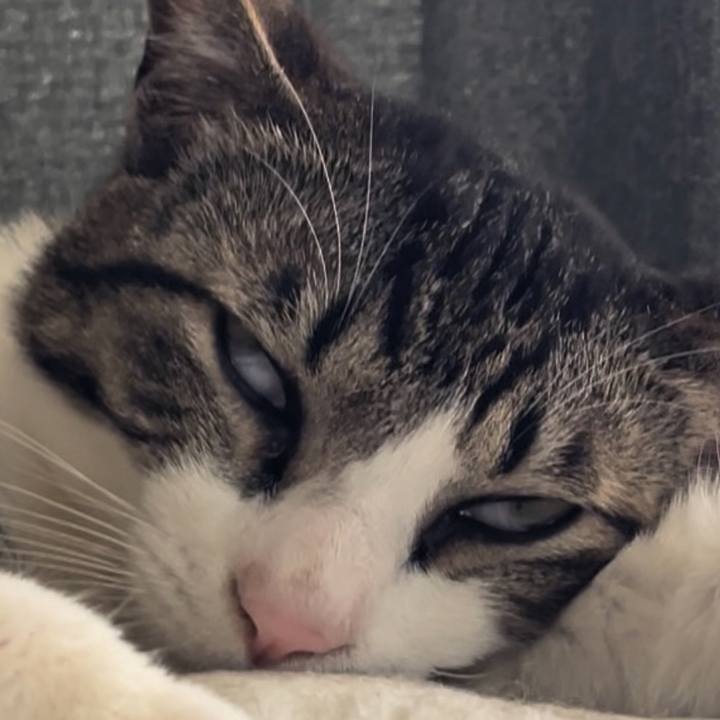 6a355b6e dcda 478c bbac 6226659b732e 1747921196291