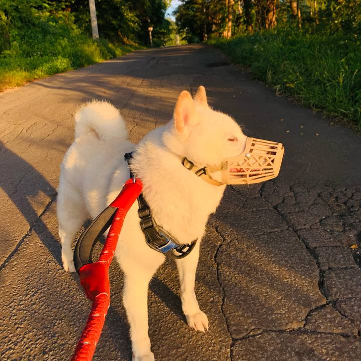 6a355be5 2de6 4a6a 9a69 287711cc02ea 1662241127476