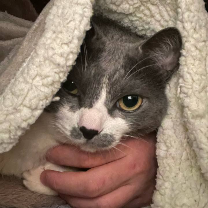 6a355edc bd56 4139 aa09 4f737336c58c 1739847023649