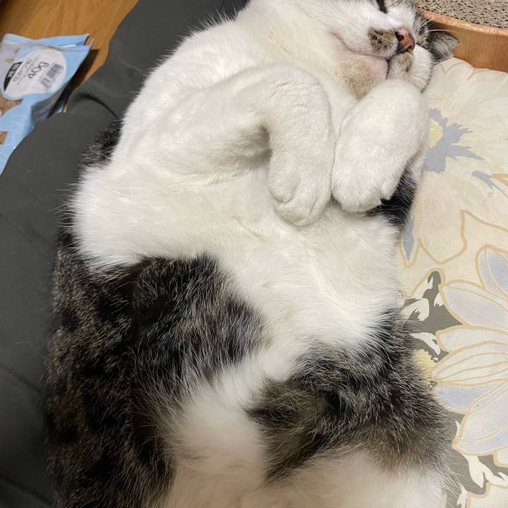 6a35a60d 6254 4ee0 adee b2774cf97ca5 1702708449714