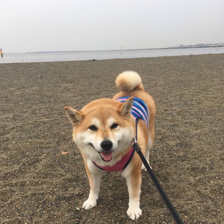 6a35e90d 876b 4335 a5f8 f1827758ec62 1562833240160