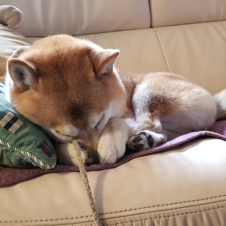 6a36624b 4d04 4142 ad47 d689a9229f4b 1527118276621