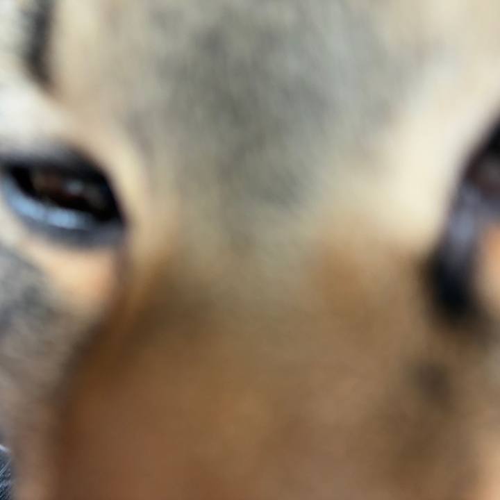 6a368189 df87 47a9 99a8 fe1238521aa7 1745018476116