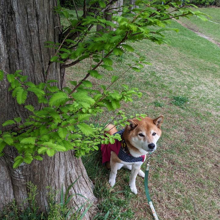 6a36f9ff be73 4149 8fdd 5682fc82e116 1713919324486