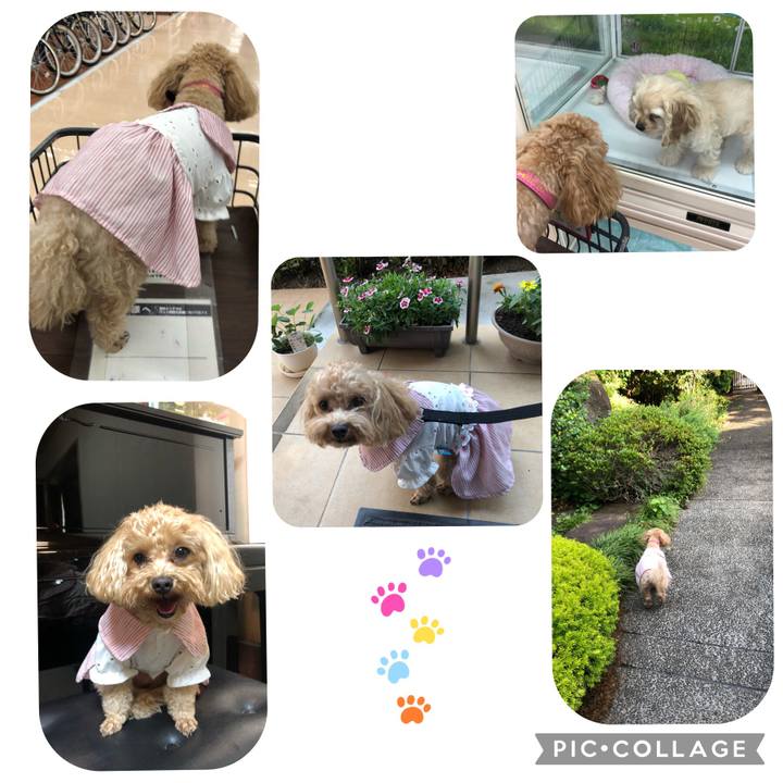 6a374bfa 0b46 4506 bced 6b3eb8b0cdcf 1655029337255