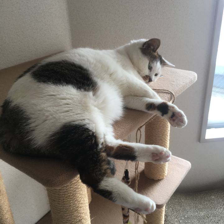 6a377a7a e82d 4796 b5db 8ce52827bff5 1617082594541