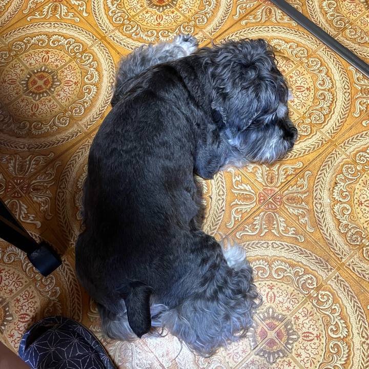 6a378556 effd 48b9 965c 4f2f93665205 1725062617189