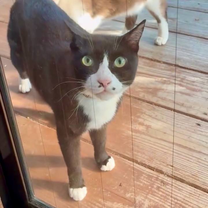 6a378a36 cbc0 4d0e b3cd f0a0c45ea667 1751449661558