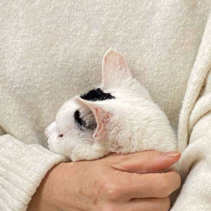 6a378fc1 d611 4498 8f9e 1d9818dda76f 1704263030416