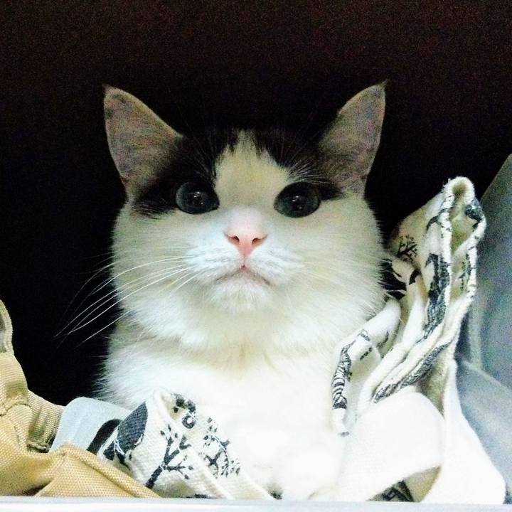 6a379292 a450 4b8b a0ca 78d6e5b48d67 1555210427049