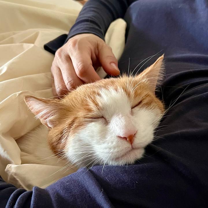 6a3796a5 4432 4495 ad79 332429e2ed60 1762055599366