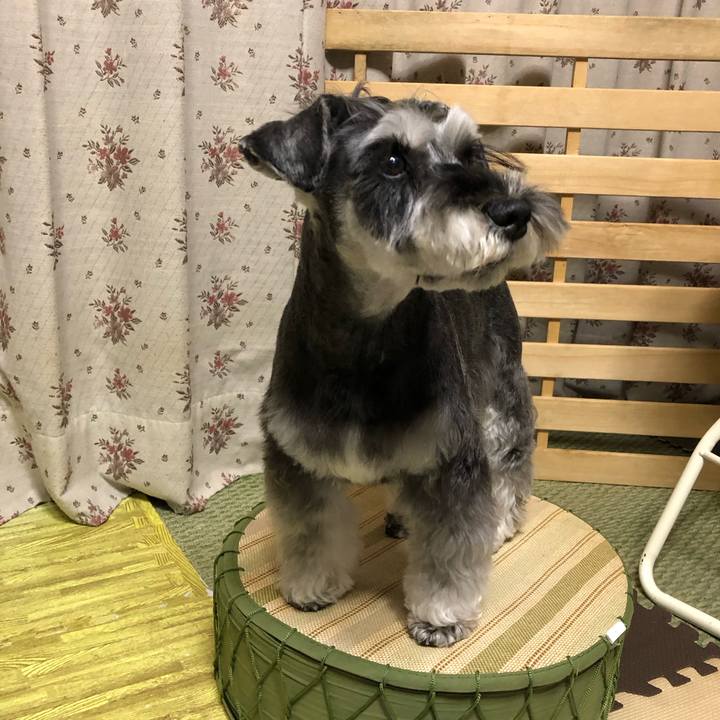 6a37b436 8fa9 4445 a05e c536c05f1b80 1708521107040