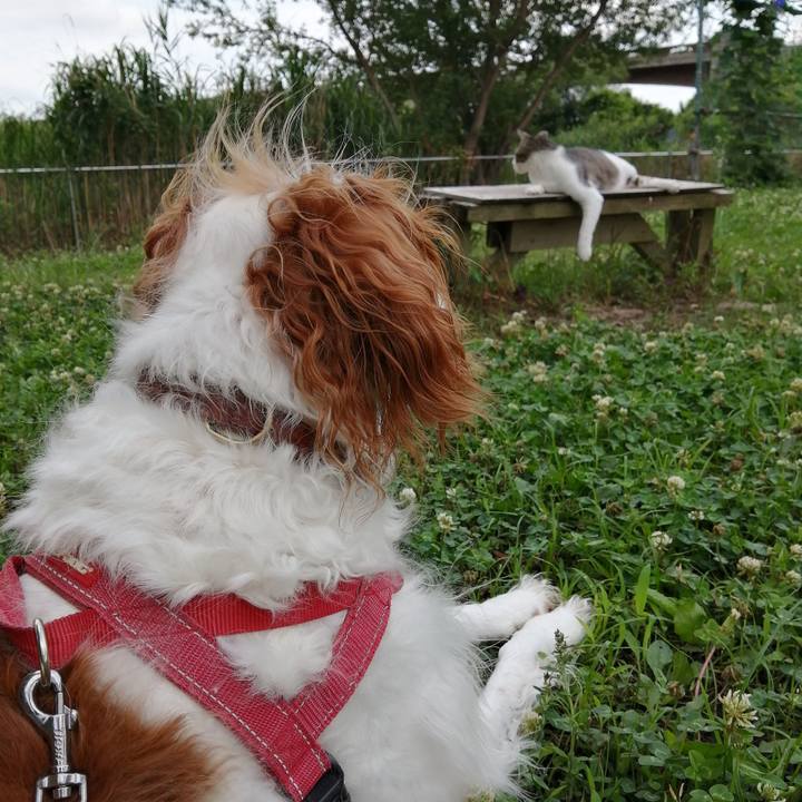 6a37d908 1cbe 4251 88f2 9e80812b7012 1592179644826