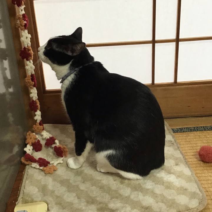 6a37f906 0053 4b64 9f57 a7a2786b9841 1642207610349