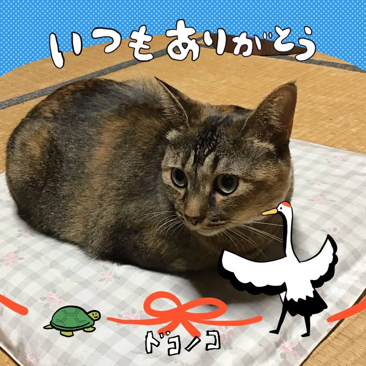 6a38326a e9fa 4fb0 a61a b7670b7ac250 1726918744513