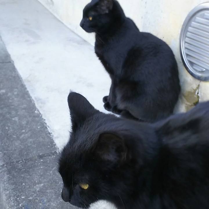 6a3842ce d46b 4f25 b75d 039f7b407890 1548818366588