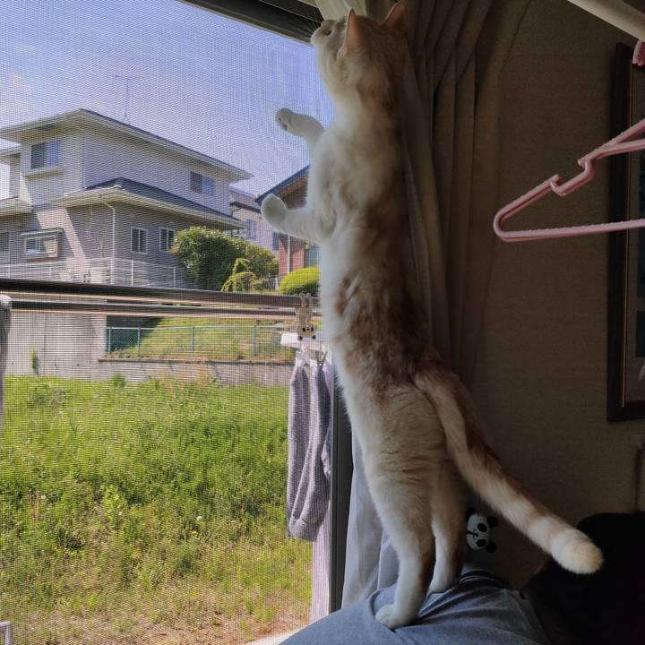 6a387573 9cf4 4c84 8670 f50271790bda 1651884192421