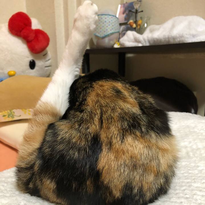 6a38cb24 6577 4b3c a77a 599cd783a491 1557734854267