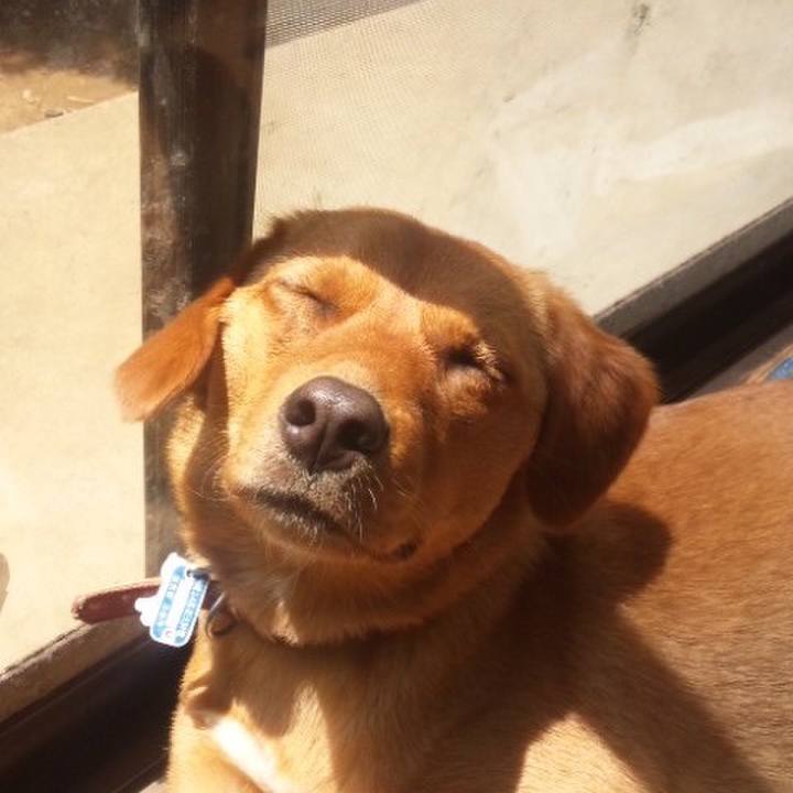 6a3947ad 0140 461f a684 b123e9073a4f 1513134670702