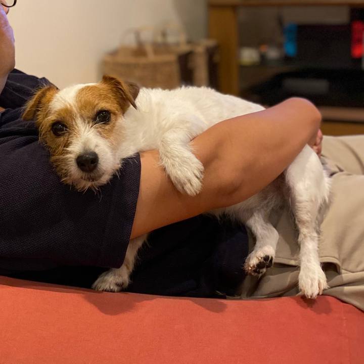 6a39772a 09e0 4a90 b2ad a36845e48bac 1597666838534