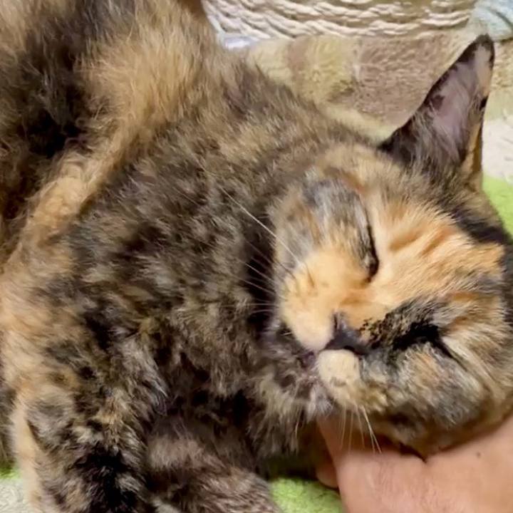 6a39bc71 6627 426a aa9c 28a4cba945b3 1750593347550