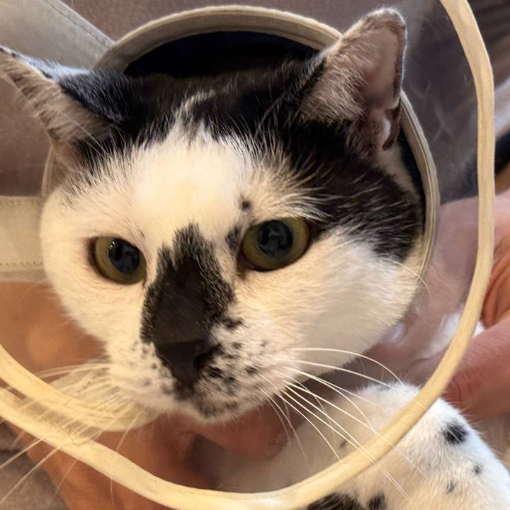 6a39bc9b ebf5 4a3b 8509 90bf8271c490 1772880300055