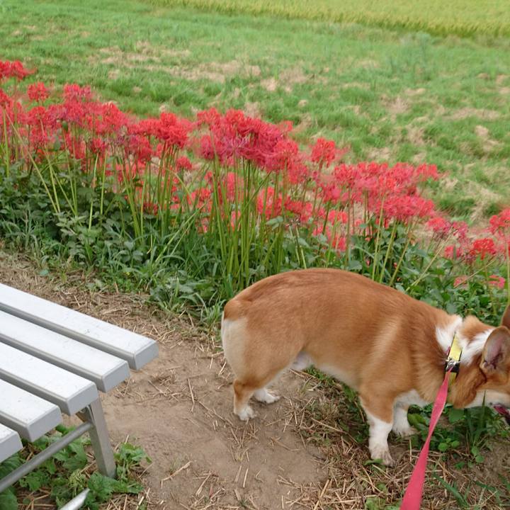 6a39bdd1 4d40 418a bfd8 a0a75e629a8a 1570076375596