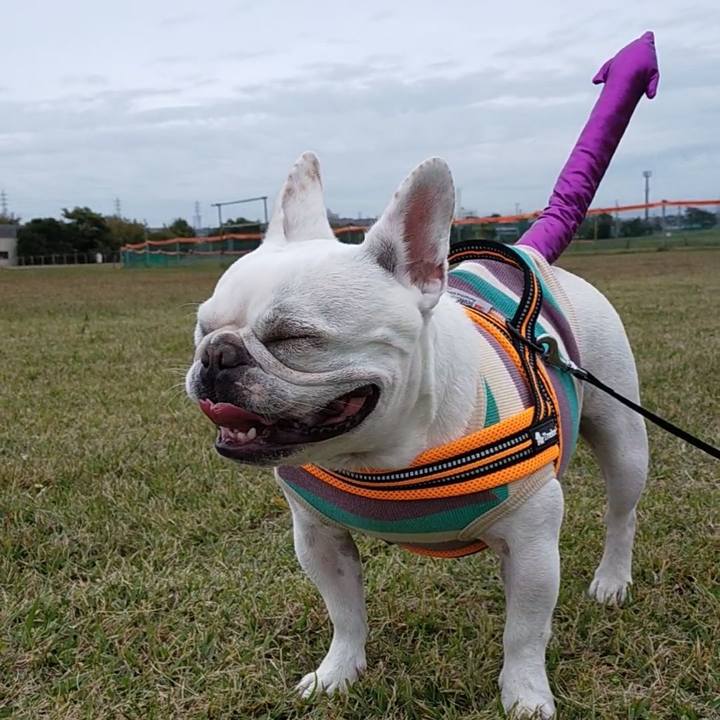 6a39d780 87db 450a a463 c175fbdf70d2 1667282585278