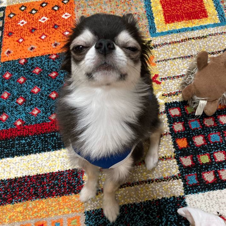 6a39f588 7c00 41bf af3c 48ff94527f9e 1693064059204