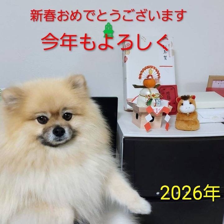 6a3a5ffd 4def 4aac 84e8 ce861a7484fe 1767366195944