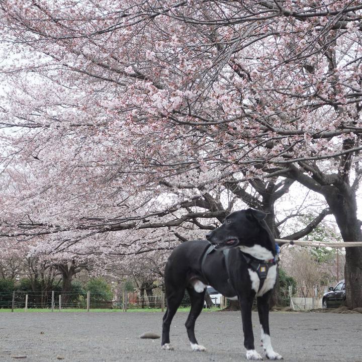 6a3a67cf 8587 45ff 9227 e1a73f463de9 1648343101446